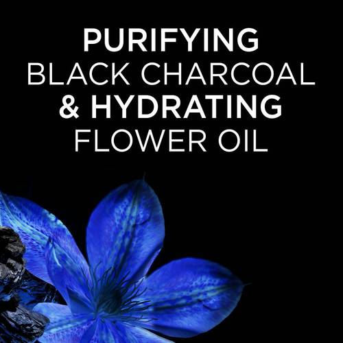 Garnier Black Charcoal & Nigella Flower Oil Rebalancing Conditioner